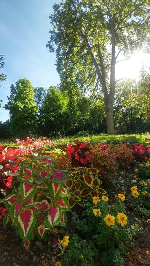 Moderne Ferienwohnungen Am Kurpark - Zentral, Ruhig & Nah Am Edersee バート・ヴィルドゥンゲン エクステリア 写真